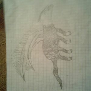 Meet your Posher, Nora